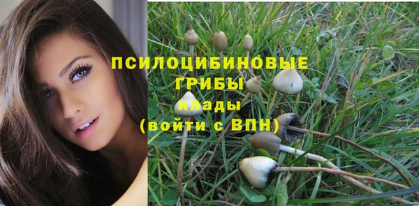 мескалин Армянск