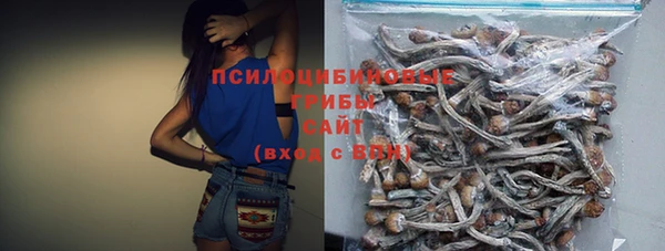 2c-b Пересвет