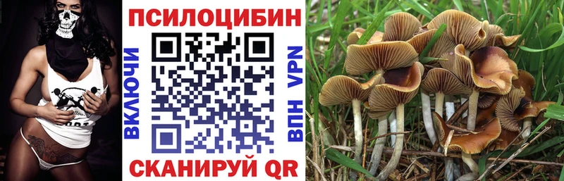 Псилоцибиновые грибы Magic Shrooms  Зуевка 